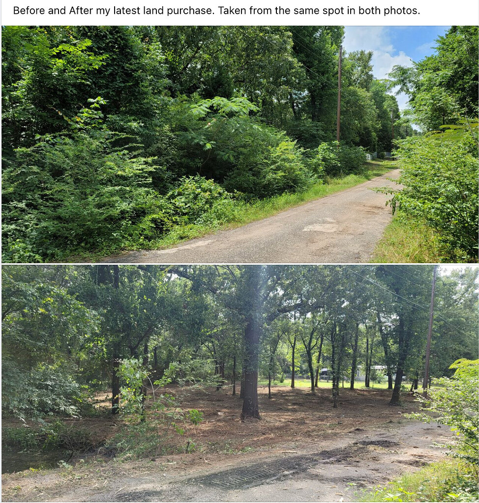 cleaning-up-the-overgrowth-of-a-vacant-parcel-before-and-after-photos